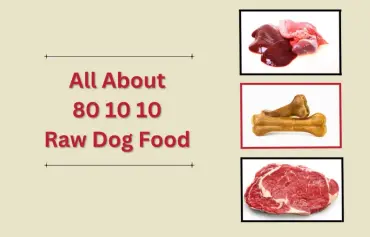 What is 80 10 10 raw dog food and what to add In?